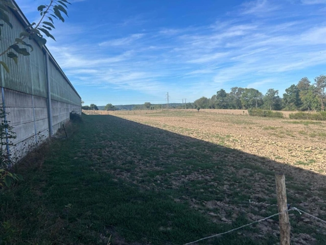 Photos 5 - Agricole - GRANDE STRUCTURE AGRICOLE AVEC IRRIGATION I 120 ha | 4 000 m² couverts | Agrandissement possible I Irrigation I Drainage | Extensible à plus de 310 ha