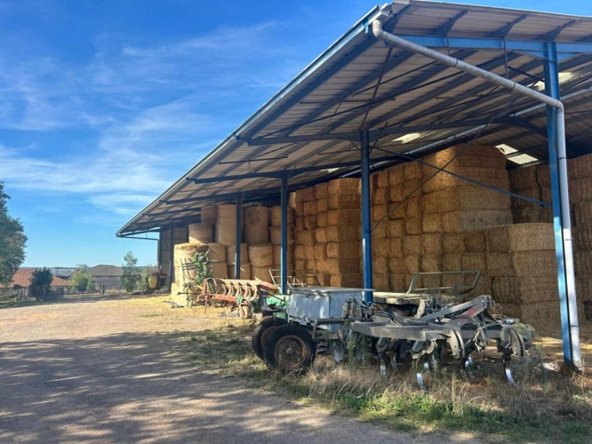 Photos 19 - Agricole - GRANDE STRUCTURE AGRICOLE AVEC IRRIGATION I 120 ha | 4 000 m² couverts | Agrandissement possible I Irrigation I Drainage | Extensible à plus de 310 ha