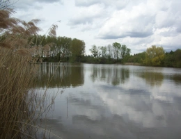 Vignette - Forestière - Propriété de 16 Ha avec deux étangs