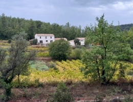 Vignette - Viticole - Domaine viticole dans le Var