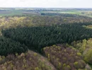 Vignette - Forestière - Propriété rurale avec massif forestier sur la côte Normande