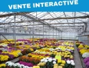 Vignette - Agricole - Dpt Nord (59), à  SIN LE NOBLE , exploitation horticole sur près de 4 hectares dont 10000m² de serres et hangar!