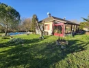 Vignette - Vineyard - Vineyard