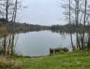 Vignette - Forestière - Étangs de pêche sportive