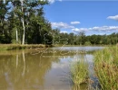 Vignette - Forestière - Propriété de Chasse et d'Agrément de 290 hectares en Sologne