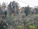 Vignette - Foncière - ROQUEFORT-LES-PINS, Terrain de loisir sans constructibilité