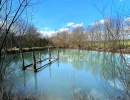 Vignette - Land - BAIN-DE-BRETAGNE : Terrain