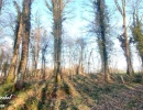Vignette - Foncière - Terrain de loisir à vendre SYLVAINS LES MOULINS (27)