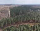 Vignette - Forestière - MASSIF MIXTE À BON POTENTIEL CYNÉGÉTIQUE ET SYLVICOLE