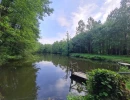 Vignette - Forestière - Fôret avec étang à Craon