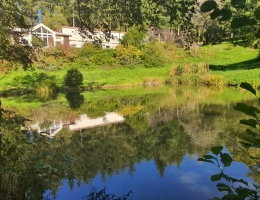 Vignette - Touristique - Dpt Vosges (88), à vendre proche REMIREMONT - PROPRIÉTÉ PLAIN-PIED idéal GITE DE GROUPE avec ETANG