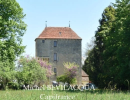 Vignette - Prestige - Propriete à vendre le Château d'OUROUER à OUROUER LES BOURDELINS (18) avec dépendances sur plus d'un hectare