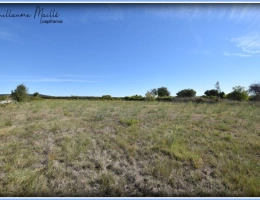 Vignette - Foncière - Terrains agricoles à vendre ROUJAN 5 970m²