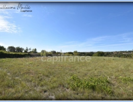 Vignette - Foncière - Terrains agricoles à vendre ROUJAN 13 660m²