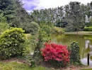 Vignette - Foncière - Terrain à vendre de 3 500,00 m² CUILLE (53)