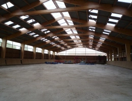 Vignette - Équestre - FERE EN TARDENOIS, à vendre grand bâtiment en lamellé colé  de 1800 m2 (60X30) sur un terrain de 2855 m2