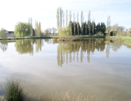 Vignette - Foncière - Etang de 4300 m2  à vendre  DOMERAT (03) sur terrain de 18627 m2