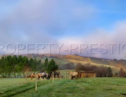 Vignette - Prestige - GERS PROPRIETE XVIIéme 43 HA ETANGS SOURCES