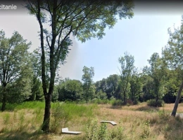 Vignette - Forestière - Terrain