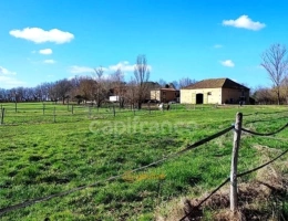 Vignette - Prestigious - Propriété agricole avec maison de 205 m2, grange de 415 m2 et ancien séchoir à tabac de 270 m2 à vendre à FLEURANCE (32), sur terrain de 15 800 m2