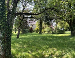 Vignette - Prestige - Propriété