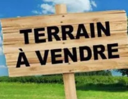 Vignette - Foncière - Morangis, parcelle agricole