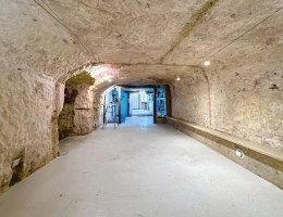 Vignette - Foncière - Terrain à vendre  MONTLOUIS SUR LOIRE (37)