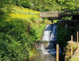Vignette - Touristique - Dpt Vosges (88), à vendre proche de CONTREXEVILLE rare MOULIN sur 2 hectares de terrain - à découvrir !