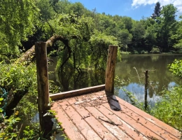 Vignette - Foncière - Deux beaux étangs, 6500 m2 d'eau pour pêche et loisirs sur un espace total de deux hectares de terrains