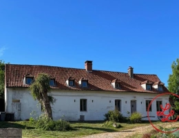 Vignette - Equestrian - Beautiful equestrian farm