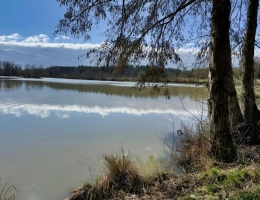 Vignette - Prestigious - INDRE ET LOIRE DOMAINE D'EXCEPTION 46 HA