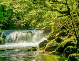 Vignette - Touristique - AUDE PROPRIETE ECOLOGIQUE GITES 180 HA