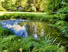 Vignette - Prestigious - DORDOGNE LOGIS MOULIN A EAU 8 HA
