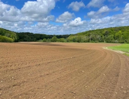 Vignette - Land - Intégralité des parts de sociétés comprenant un ensemble agricole et forestier