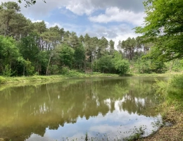 Vignette - Forestière - En Dordogne, rare parc de 10ha clôturé comprenant 2 étangs, des bois feuillus et résineux et un hangar