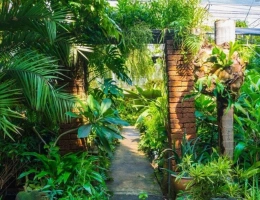 Vignette - Agricole - SAINT-MARTIN - ENTREPRISE DE PARCS ET JARDINS