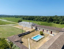 Vignette - Viticole - Domaine viticole historique en Fronsac avec un terroir de qualité à proximité de Libourne
