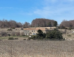 Vignette - Prestigious - À VENDRE – Château à rénover sur domaine de 100 hectares