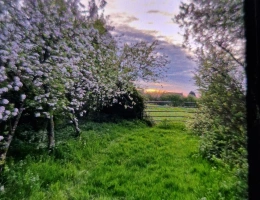Vignette - Équestre - Propriété sur plus de 4 Hectares 60 a 93 ca idéal Chevaux  ou gites - Hauts de France