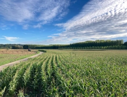 Vignette - Agricultural - Agricultural exploitation of 75ha including 70ha of valleys (with irrigation) in Dordogne (24)