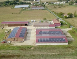 Vignette - Agricole - Ovins / Caprins