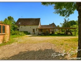 Vignette - Touristique - Propriete à vendre 8 pièces TOUCHAY (18)