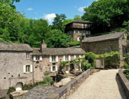 Vignette - Prestige - Moulin