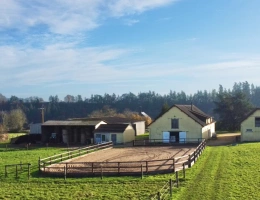 Vignette - Équestre - Écurie de 8,3 hectares clé en main