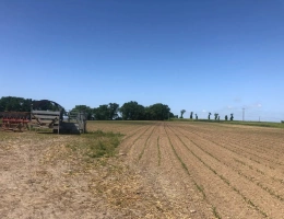 Vignette - Agricole - Exploitation Laitière entre Lamballe et Dinan au cœur d'un très beau bassin laitier