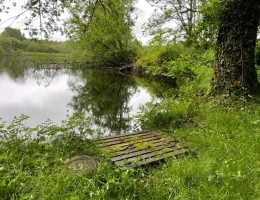 Vignette - Prestige - RARE À LA VENTE – Étang + terrain, nature & potentiel  à SAINT NICOLAS COURBEFY (87)
