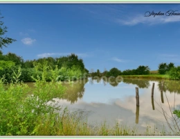 Vignette - Foncière - Terrain à vendre de 31 710,00 m² BOULT AUX BOIS (08)