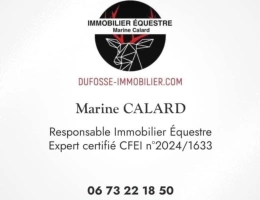 Vignette - Équestre - OFF MARKET -  Ecurie en activité