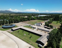 Vignette - Équestre - Propriété Équestre d'Excellence - 5 Hectares aux Portes d