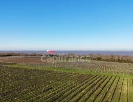 Vignette - Viticole - Exclusivité À VENDRE Domaine Viticole Cru Bourgeois Médoc Vue exceptionnelle